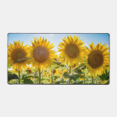 Mat de bureau (Recto)