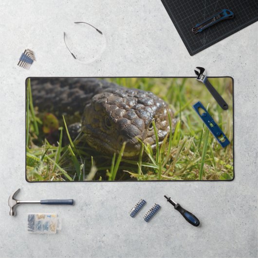 Mat du bureau de Lizard bleu à dos blanc australie (Poste de travail)