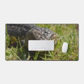 Mat du bureau de Lizard bleu à dos blanc australie (Clavier et souris)
