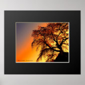 Matabei-Zakura: ijsboom Poster (Voorkant)