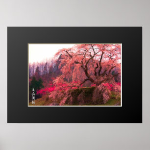 Matabei-Zakura: Treurwilg Kersenboom poster