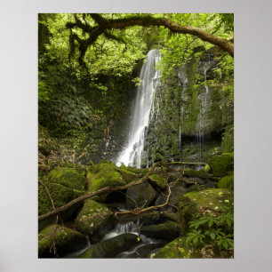 Matai-waterval, Catlins, South Otago Poster