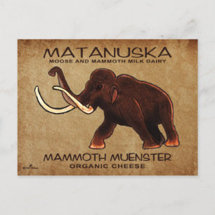 Matanuska Mammoth Muenster Cheese Briefkaart