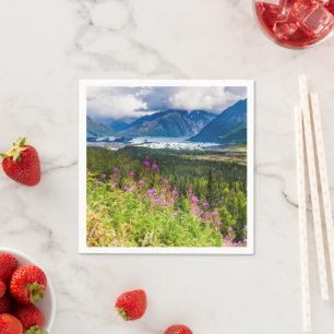 Matanuska Valley, Southcentral Alaska Servet