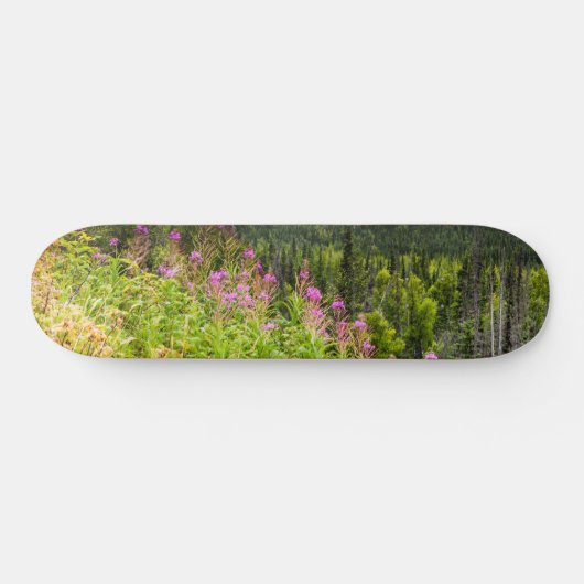 Matanuska Valley, Southcentral Alaska Skateboard (Horizontaal)