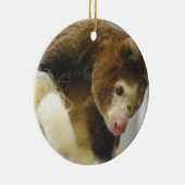 Matchies Tree Kangaroo Ornament (Rechts)