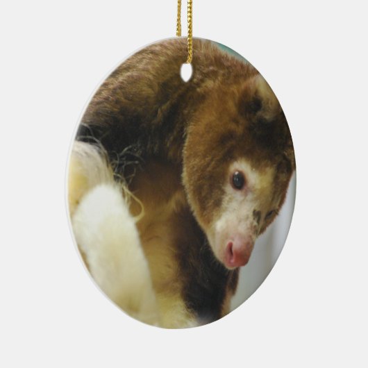 Matchies Tree Kangaroo Ornament (Rechts)
