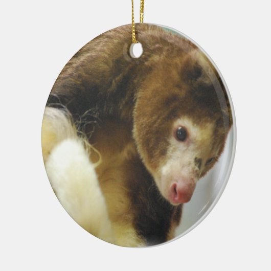 Matchies Tree Kangaroo Ornament (Links)