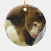 Matchies Tree Kangaroo Ornament (Achterkant)