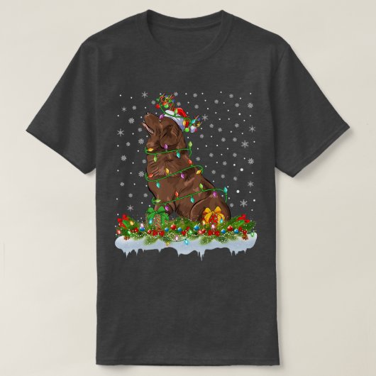 Matching Xmas Lighting Santa Newfoundland Dog Chri T-shirt (Design voorkant)
