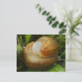 Maten Briefkaart (Staand voorkant)