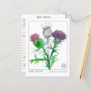 Materia Medica Milk Thistle Herbal Studie Kaart