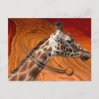 MATERIËLE CREATUREN BRIEFKAART