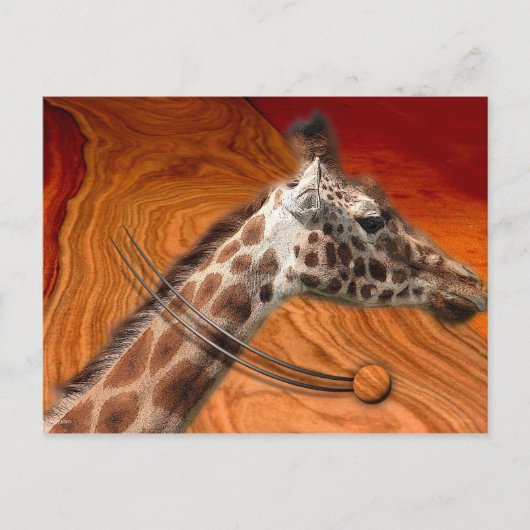 MATERIËLE CREATUREN BRIEFKAART (Voorkant)