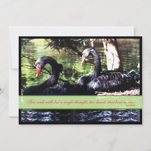 Mates for Life Black Swans Wedding Invitation Kaart (Voorkant)