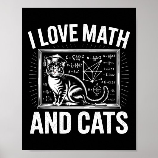 Math Cat Lover Funny Math Teacher I Love Math And Poster (Voorkant)