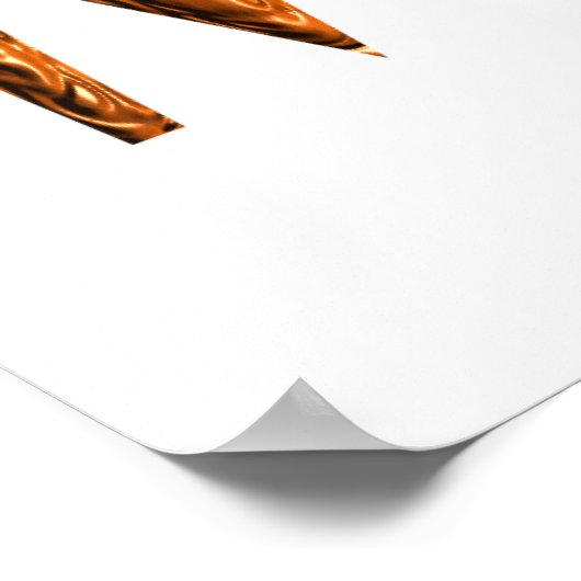 Math is Magical Poster (Coin)