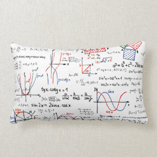 Mathematica Cheat Sheet Pillow Kussen
