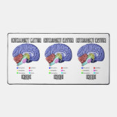 Matière intelligente à l'intérieur de l'Humour cér (Recto)