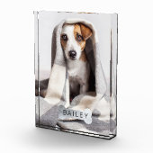 Matig minimaal PET-folie Silver Dog Bone Fotoblokken (Rechts)