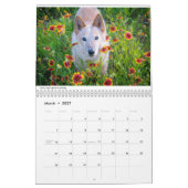 Matilda et le calendrier des fleurs 2019 (Mar 2027)