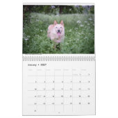 Matilda et le calendrier des fleurs 2019 (Jan 2027)