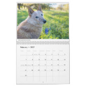 Matilda et le calendrier des fleurs 2019 (Feb 2027)