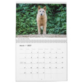 Matilda et le calendrier du monde 2019 (Mar 2027)