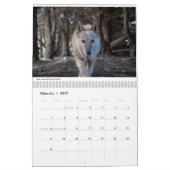 Matilda et le calendrier du monde 2019 (Feb 2027)
