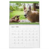 Matilda, Love en Light 2021 Kalender (Mar 2026)