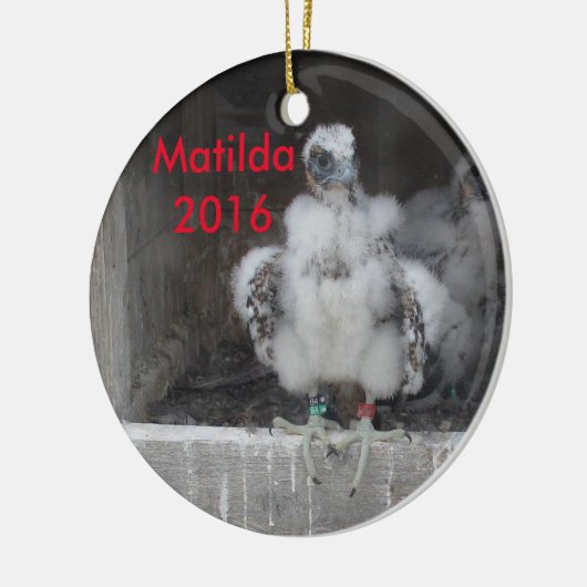 Matilda Ornament 2016 (Links)