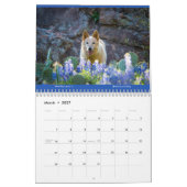 Matilda Stardust et Love 2025 Calendrier (Mar 2027)