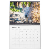 Matilda Stardust et Love 2025 Calendrier (Feb 2027)