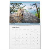 Matilda's kalender voor 2023 (Jan 2027)