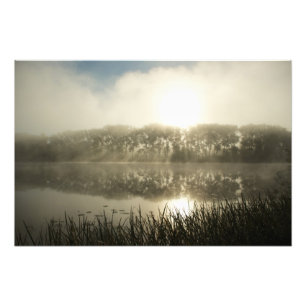 Matin agité - photo