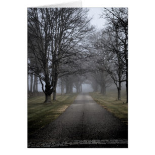 Matin brumeux au Maine