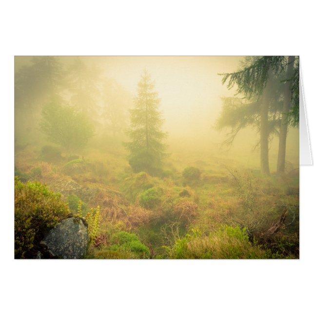 Matin brumeux en montagnes de Wicklow (Devant horizontal)