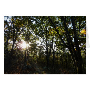 Matin d'automne au parc national de Shenandoah