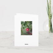 Matin d'automne dans la carte de note de champ de (Dos)