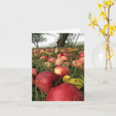 Matin d'automne dans la carte de note de champ de (Fleur jaune)