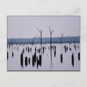 "Matin de deuil" - Carte postale (Devant)