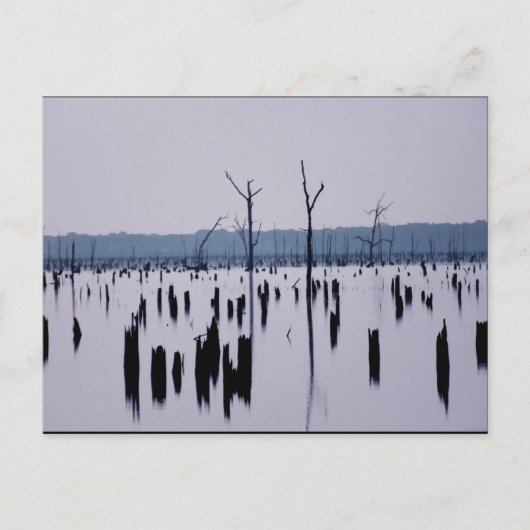 "Matin de deuil" - Carte postale (Devant)