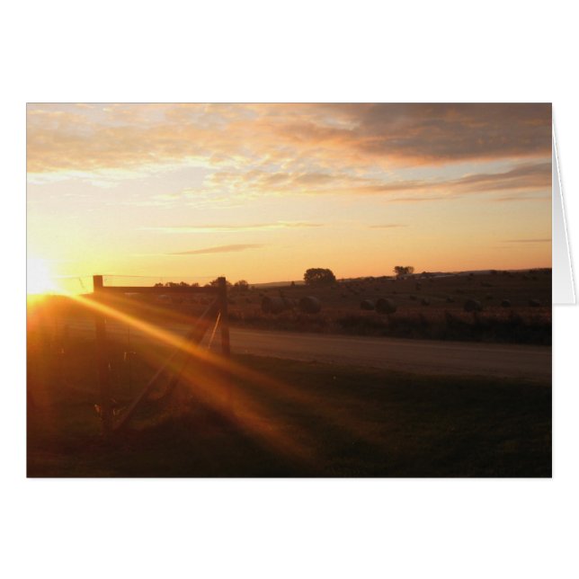 Matin de novembre (Devant Horizontal)