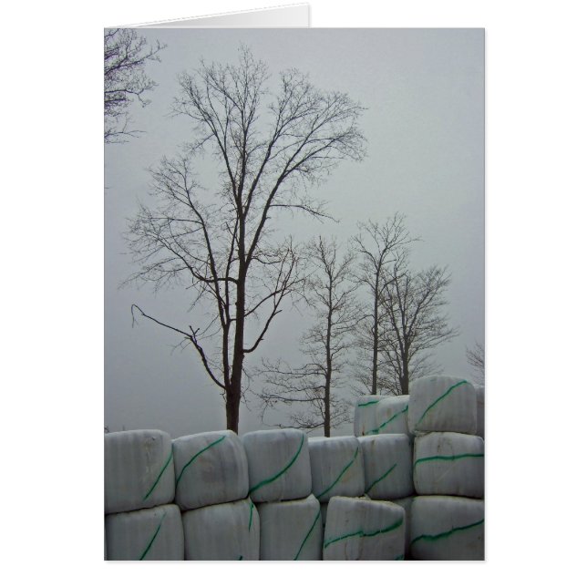 Matin d'hiver 5x7 (Devant)