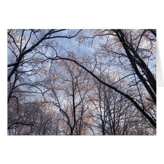 Matin d'hiver II Paysage naturel (Devant horizontal)