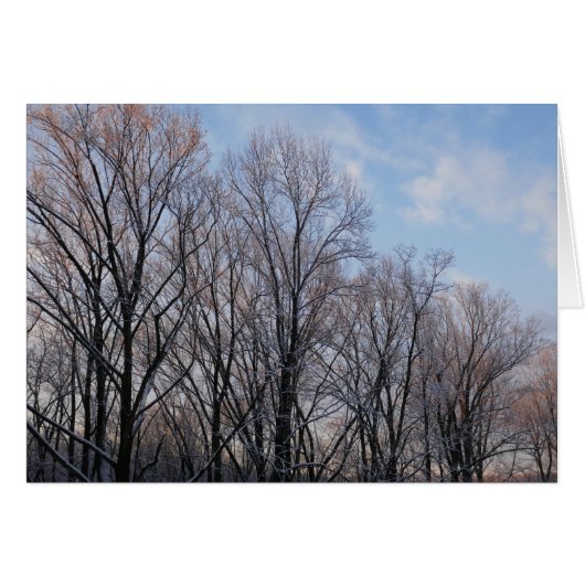 Matin d'hiver III Paysage naturel (Devant horizontal)