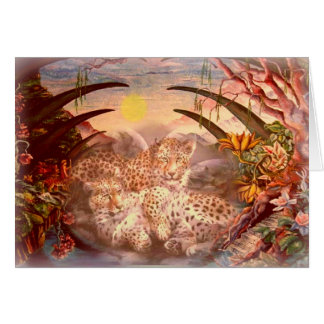 matin d'or de léopard