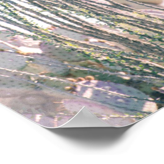 Matin du désert | Poster (Coin)