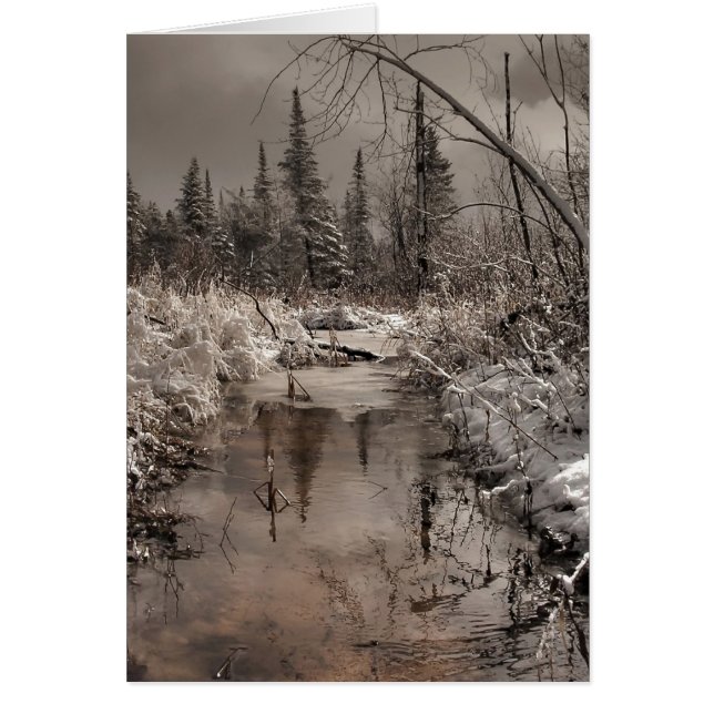 matin du printemps (Devant)