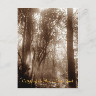 Matin mystique CN1 - carte postale